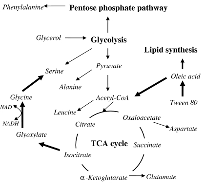 Fig. 5