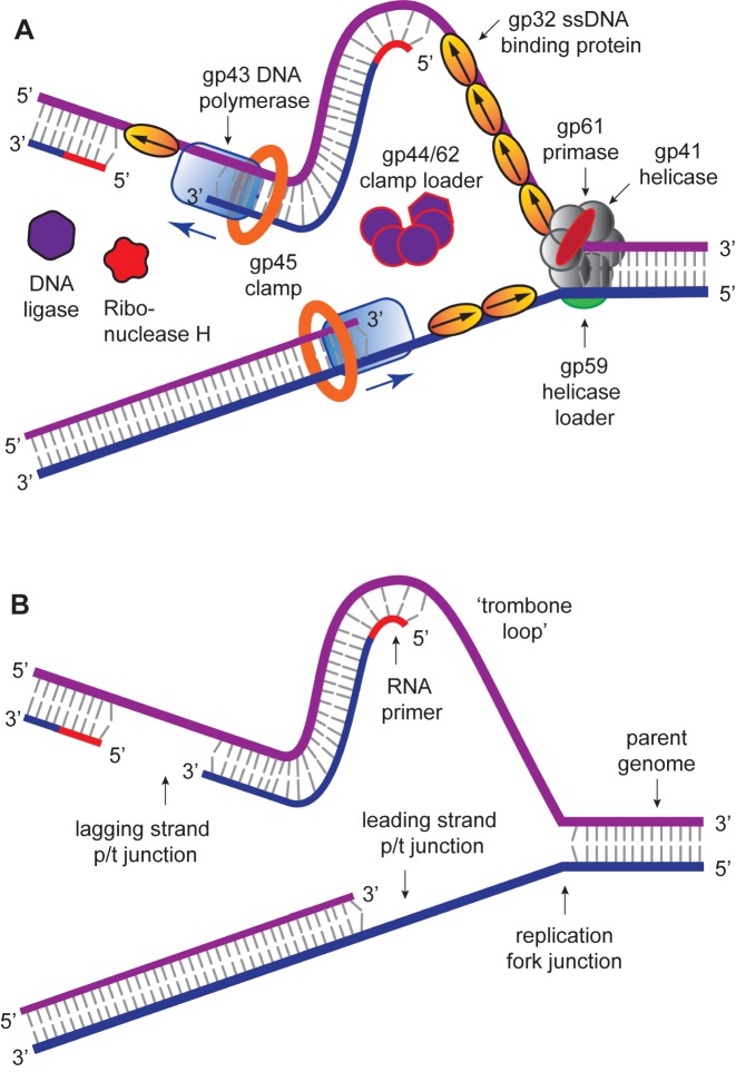 Figure 10.