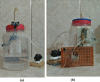 Fig. 19