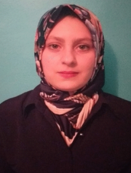 graphic file with name 11277_2021_8429_Figf_HTML.jpg