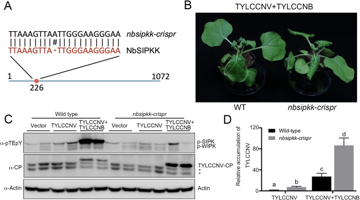 Fig 4