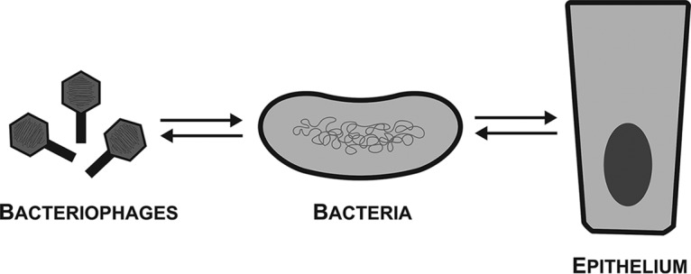 FIG 1