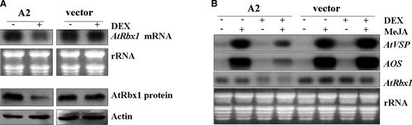 Figure 6.