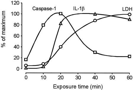 FIG. 7.