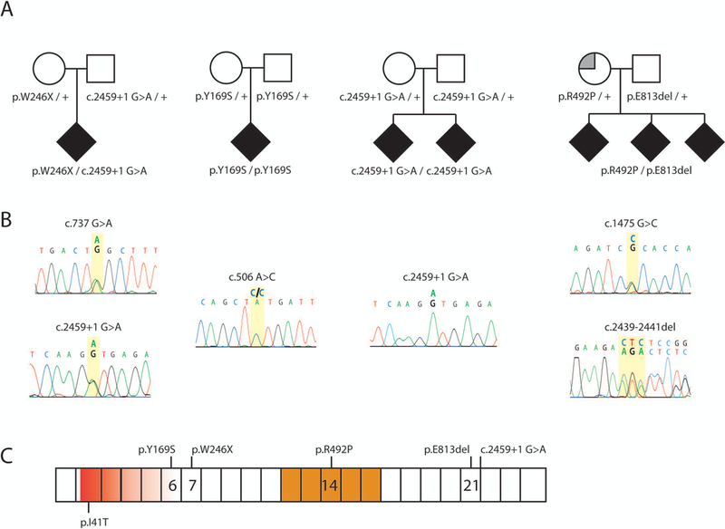 Figure 2: