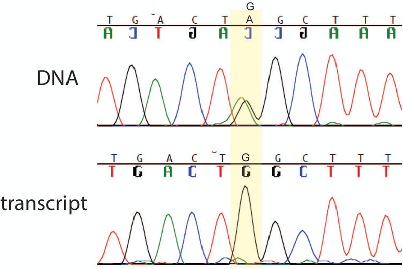 Figure 3: