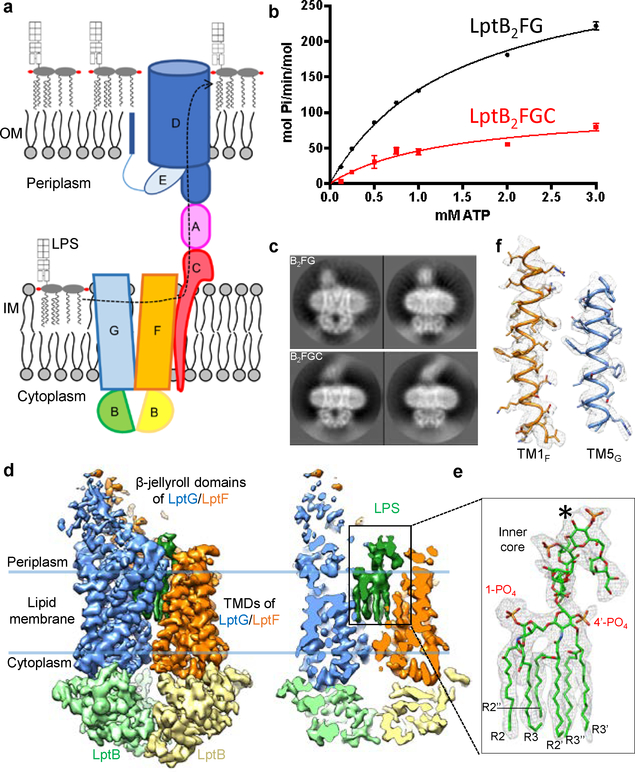 Figure 1 |