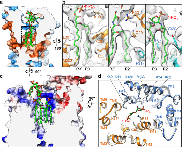 Figure 2 |