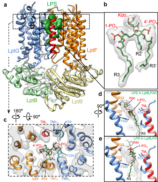 Figure 4 |