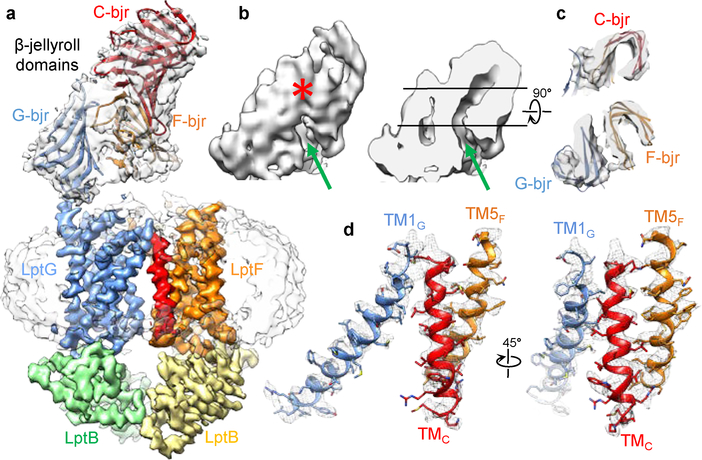 Figure 3 |