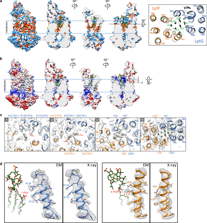 Extended Data Figure 4 |