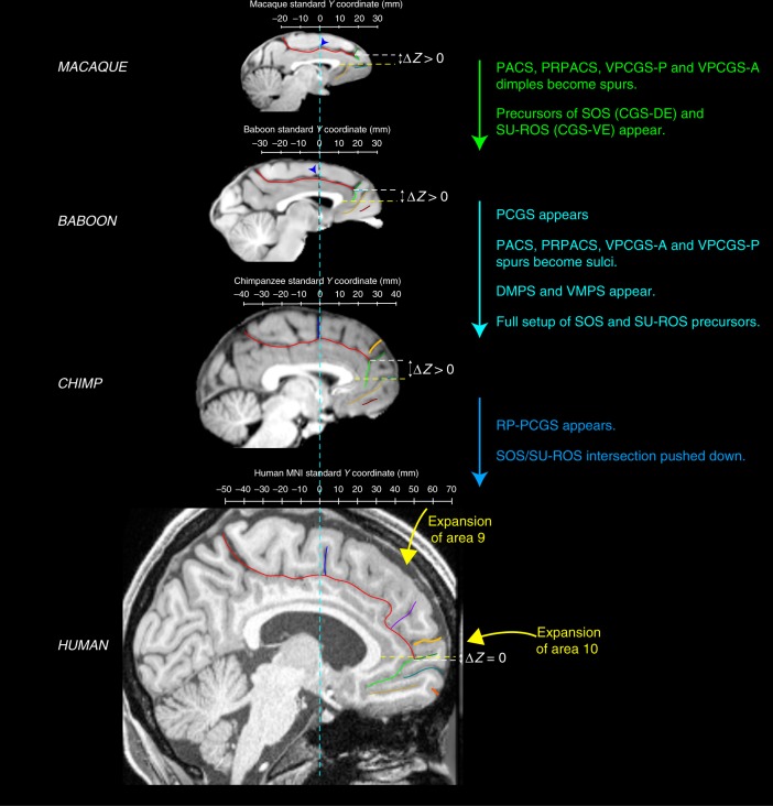 Fig. 8