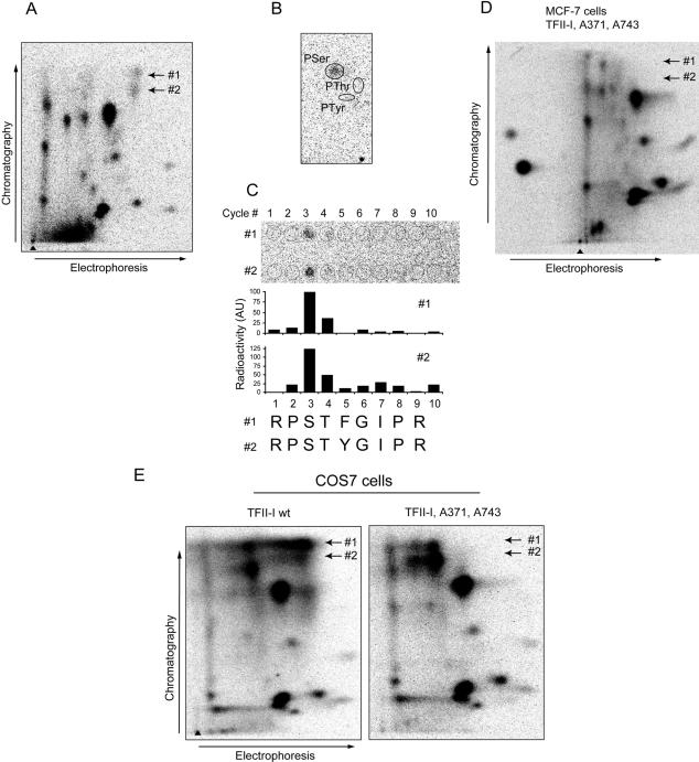 Figure 5.