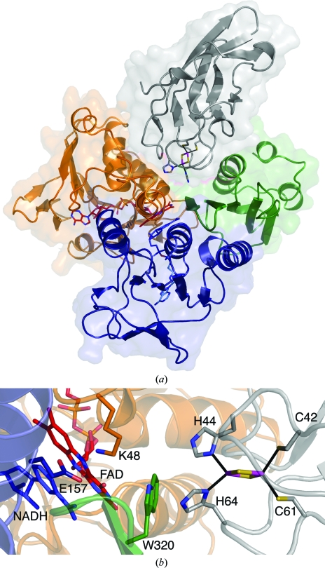 Figure 4