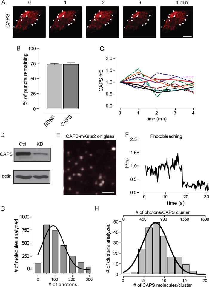 FIGURE 3: