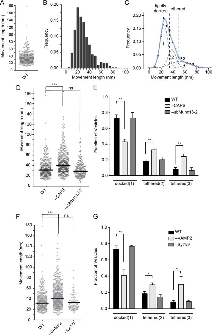 FIGURE 5: