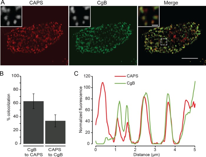 FIGURE 2: