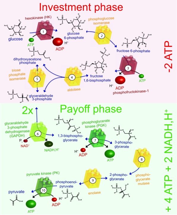 Figure 3. 