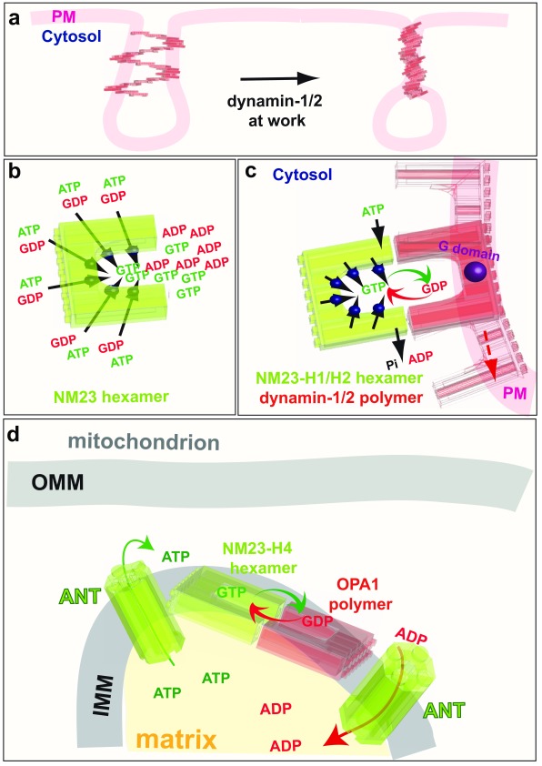 Figure 6. 