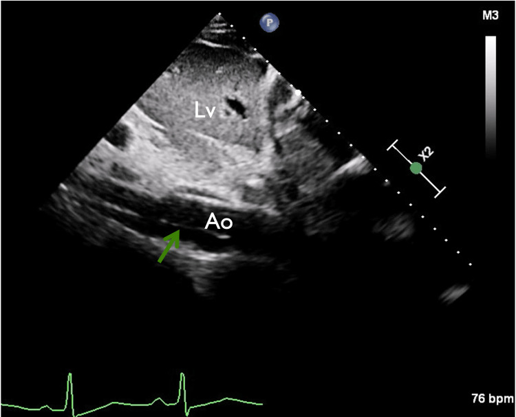 Figure 6
