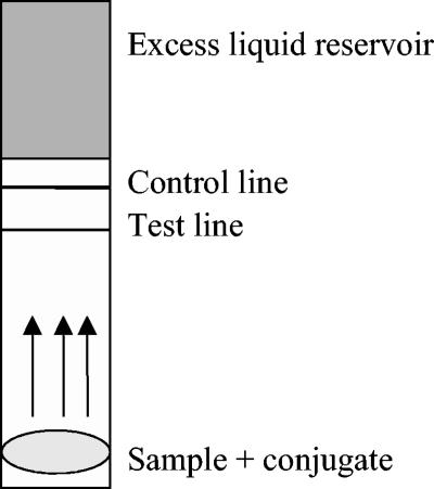 FIG. 1.