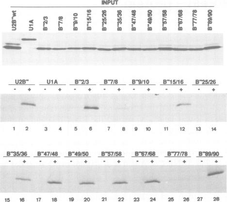 Fig.1