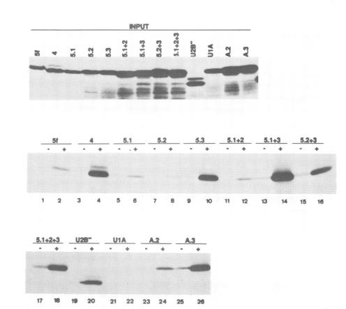 Fig.4