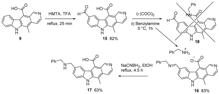 Scheme 3