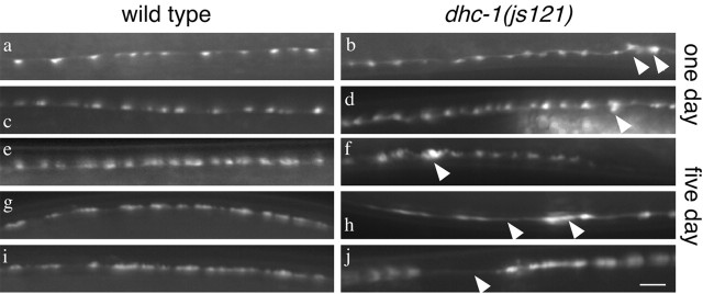 
Figure 9.
