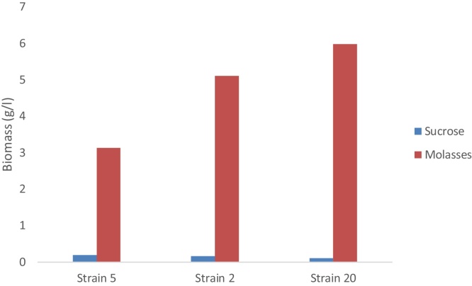 Fig. 3