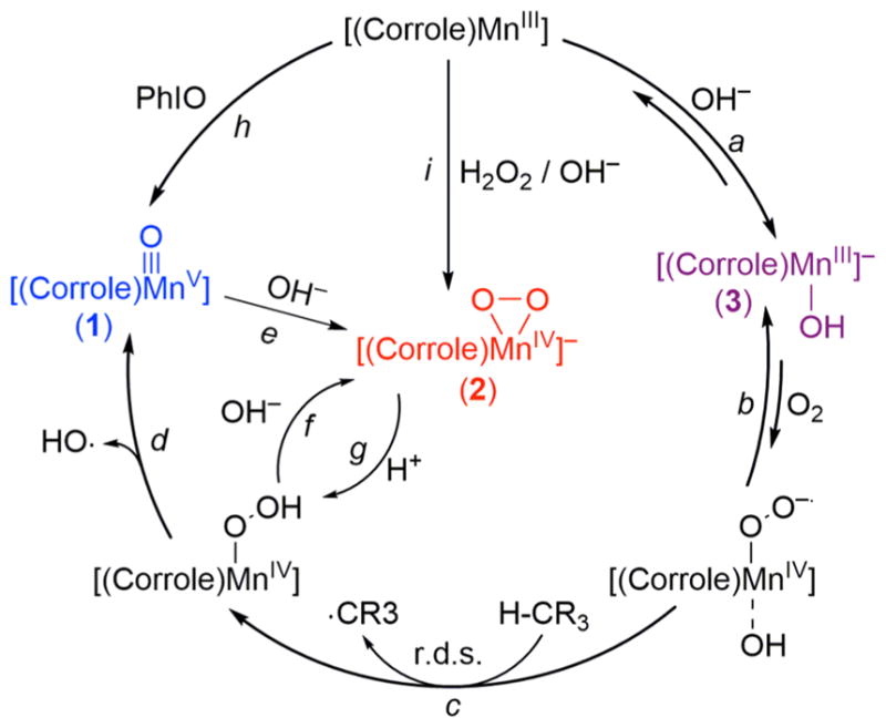 Scheme 2