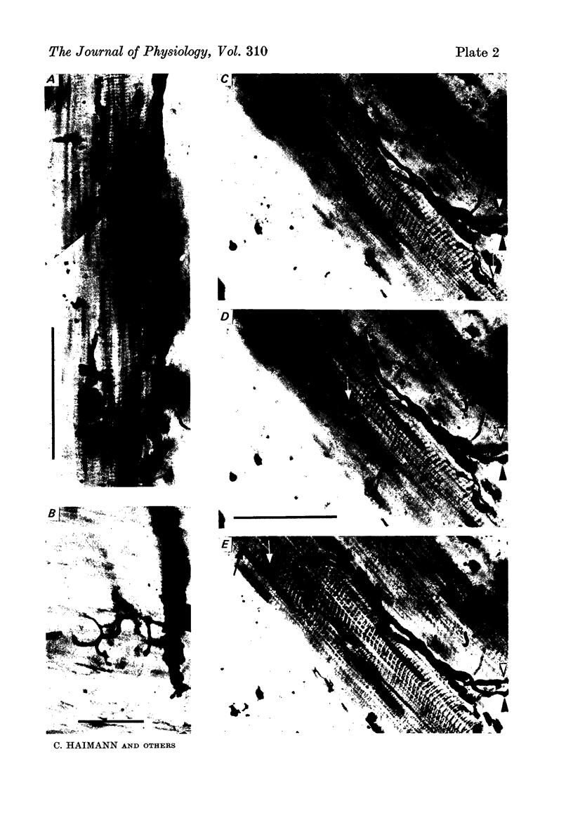 272-2