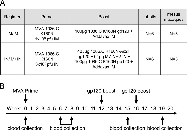 FIG 1