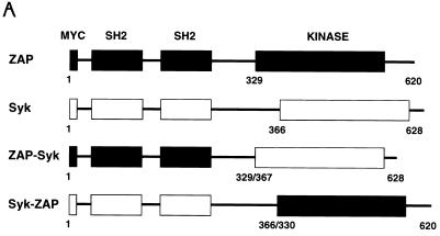 FIG. 9