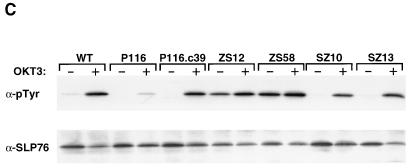 FIG. 9