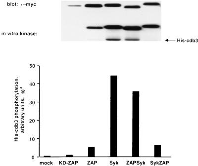 FIG. 10