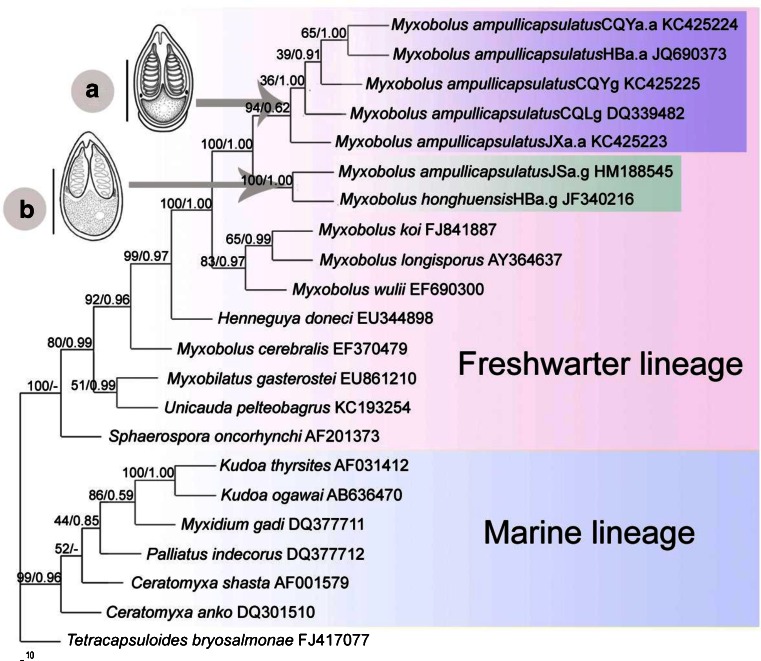 Fig. 3