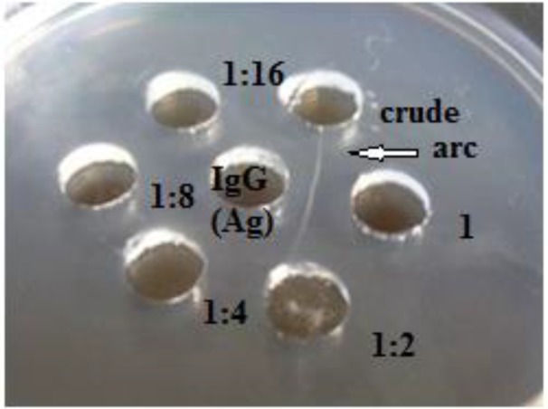 Fig. 2: