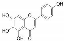 graphic file with name molecules-25-04435-i004.jpg