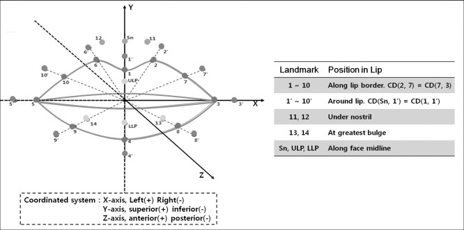 Figure 4. Twenty-seven perioral soft tissue landmarks and their coordinate system. Sn indicates subnasale; ULP, upper lip profile; and LLP, lower lip profile. / 1, The lowest point of the middle area of the Cupid's bow; 2 and 6, the highest point of the Cupid's bow; 3 and 5, the most lateral point of vermilion border; 4, the lowest point of vermilion border; 7-10, midpoints of curved vermilion border; 1', midpoint between point 1 and point Sn; and 2'-10', perioral points which are counterparts of each point along the lip border(1-10), being apart by the same distance between point 1 and point 1'.