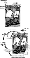 Figure 8.