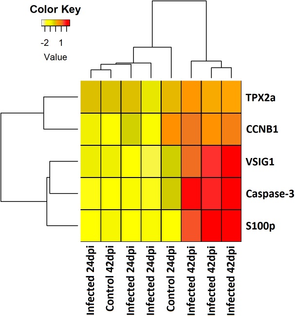 FIGURE 4