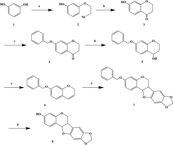 Scheme 6