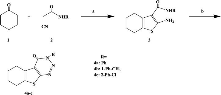 Scheme 3