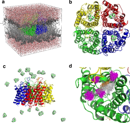 Fig. 1