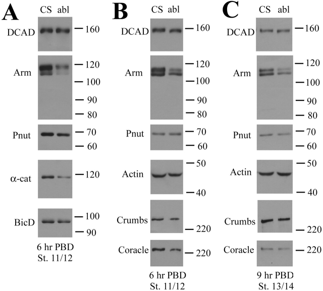 Figure 10.