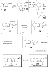 Scheme 7