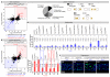 Extended Data Fig. 7