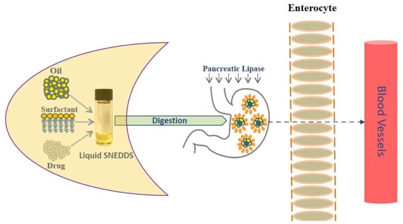 GRAPHICAL ABSTRACT