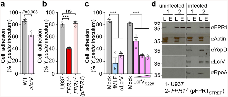 Figure 3 |